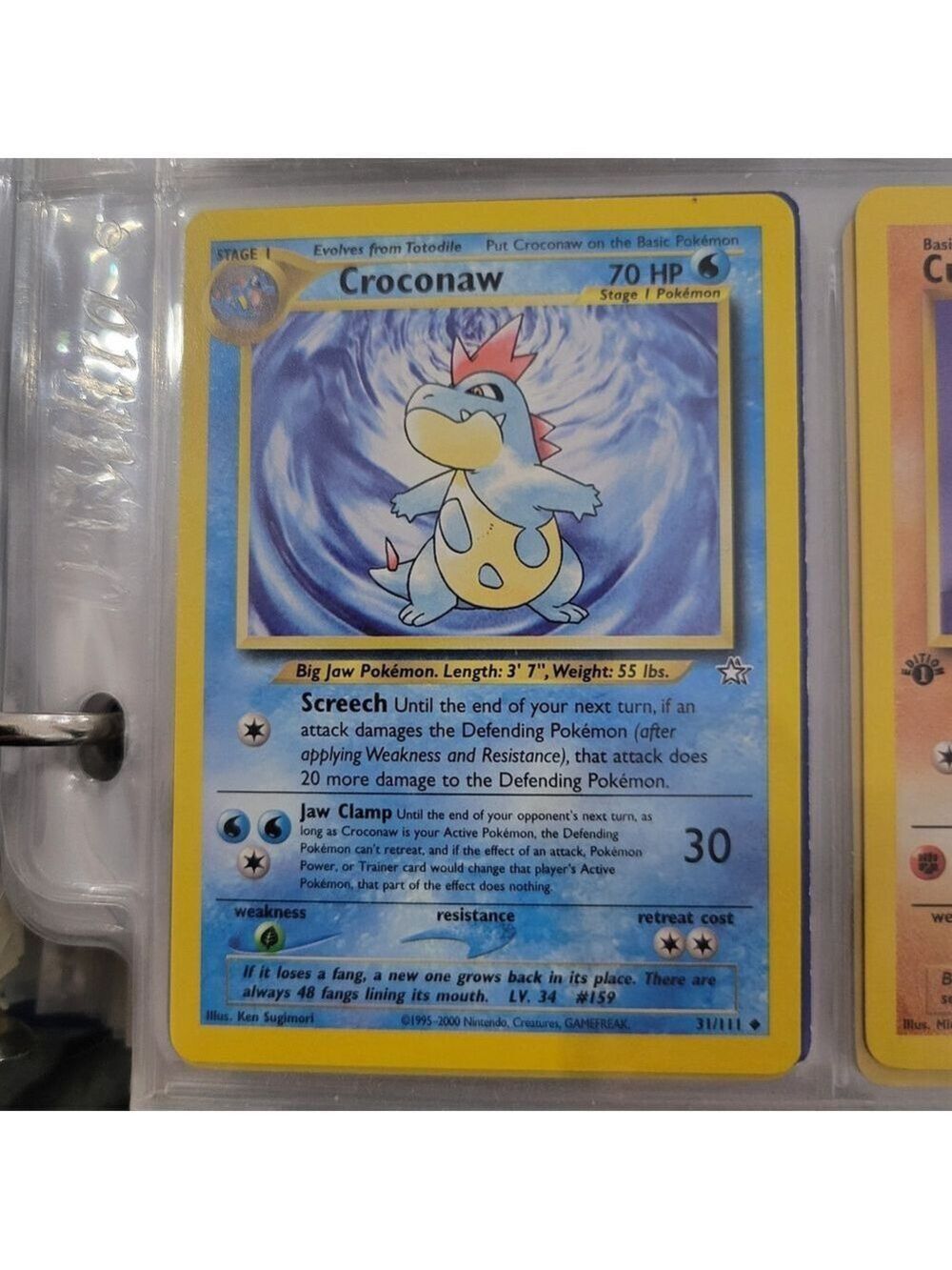 Pokemon Card Croconaw
